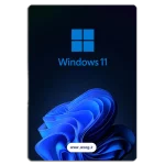Windows 11
