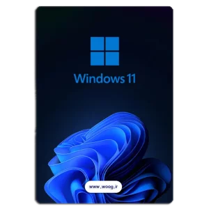 Windows 11